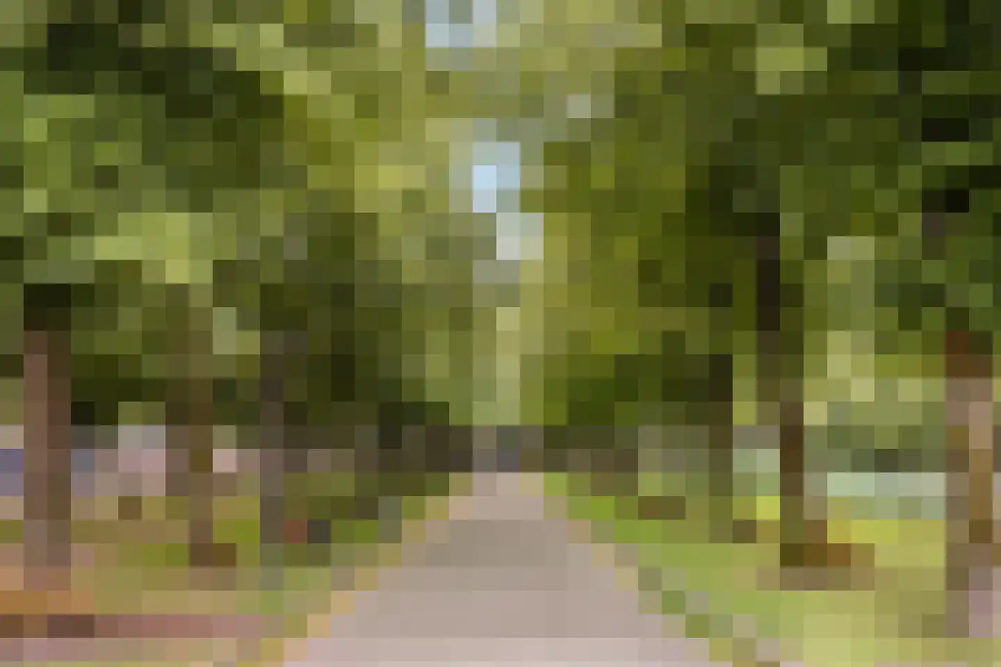 Vespuccistraat 99 H Amsterdam thumbnail 20
