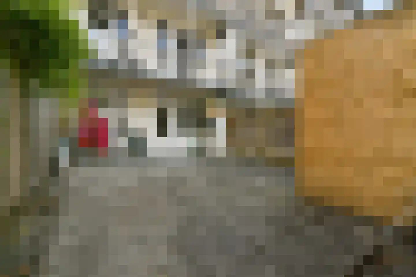 Vespuccistraat 99 H Amsterdam thumbnail 4