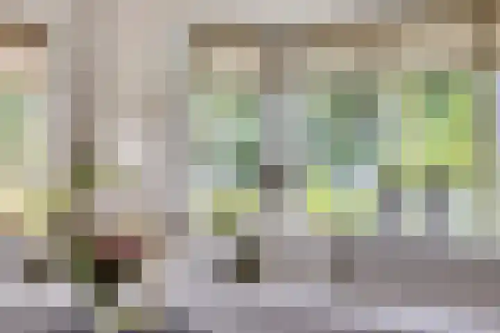 Vesselkampen 19 Eext thumbnail 10