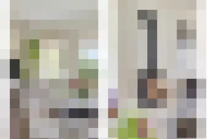 Vesselkampen 19 Eext thumbnail 11