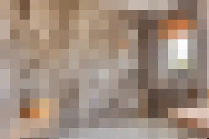 Vesselkampen 19 Eext thumbnail 20