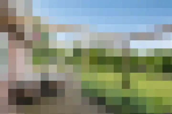 Vesselkampen 19 Eext thumbnail 39