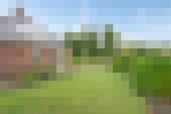 Vesselkampen 19 Eext thumbnail 44