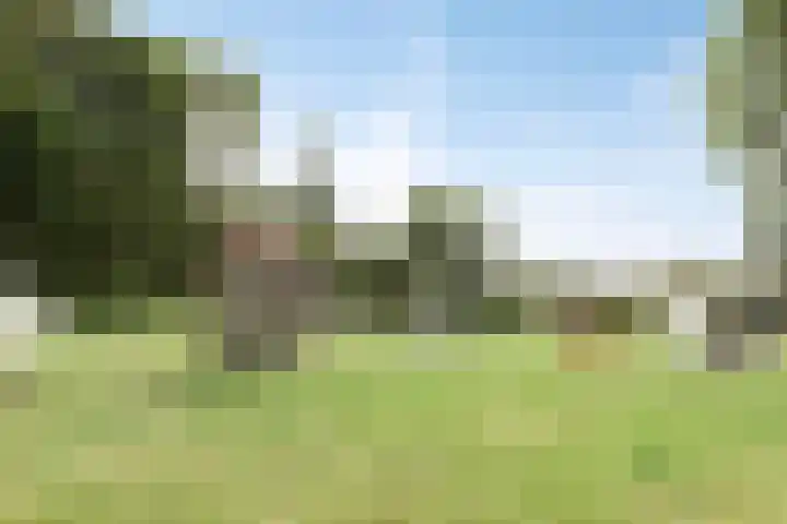 Vesselkampen 19 Eext thumbnail 54