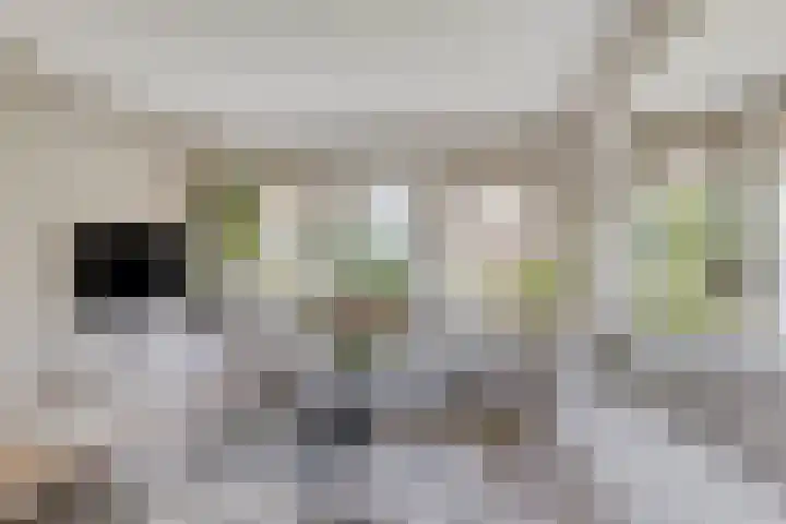 Vesselkampen 19 Eext thumbnail 9
