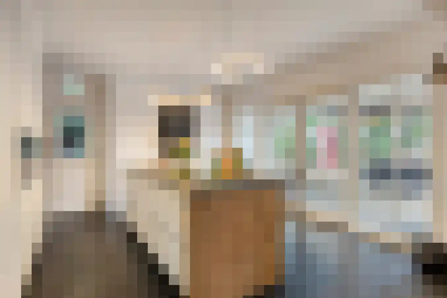 Vessemsedijk 8 Veldhoven thumbnail 14