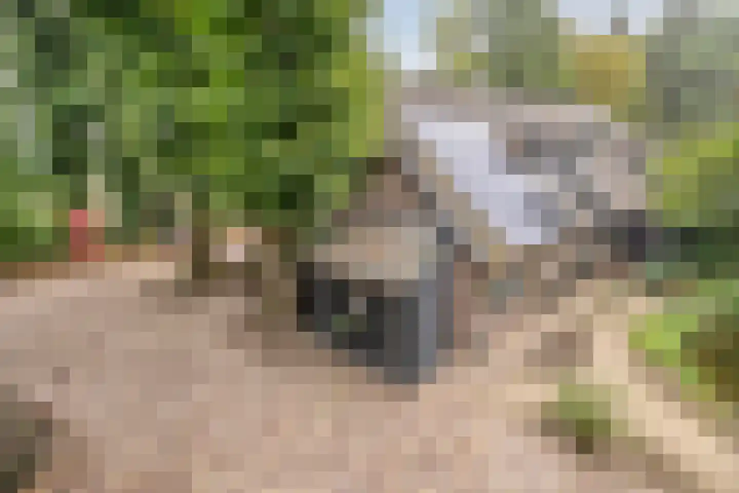 Vessemsedijk 8 Veldhoven thumbnail 42