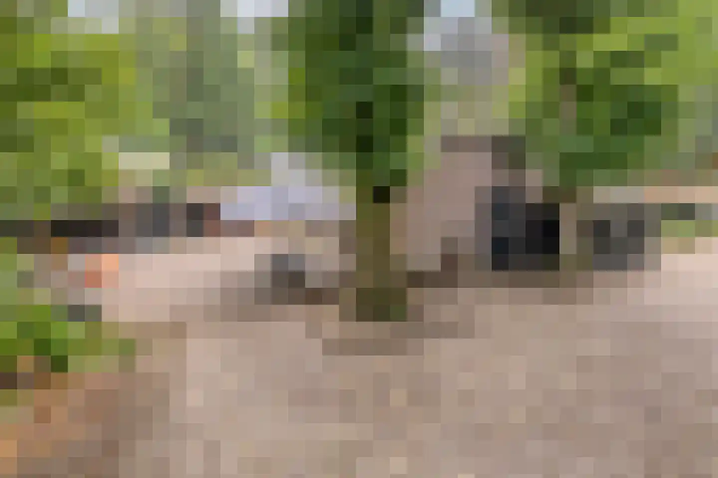 Vessemsedijk 8 Veldhoven thumbnail 43