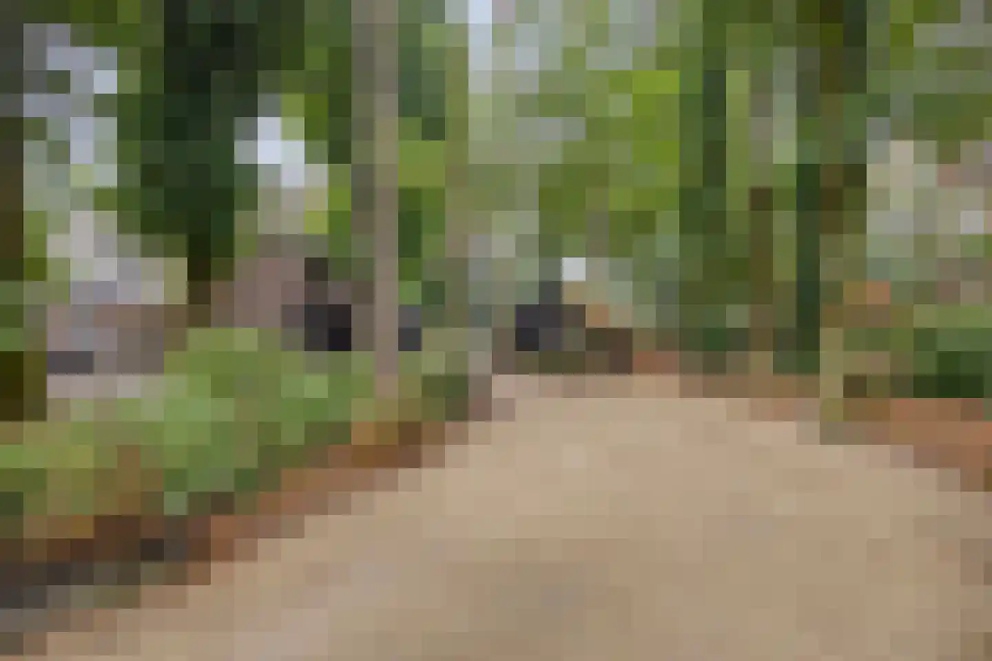 Vessemsedijk 8 Veldhoven thumbnail 44