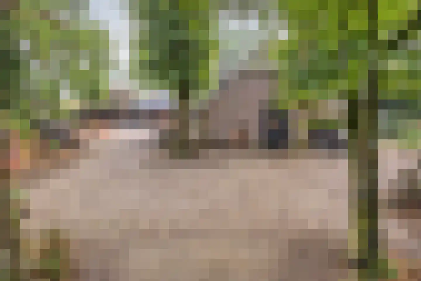 Vessemsedijk 8 Veldhoven thumbnail 45