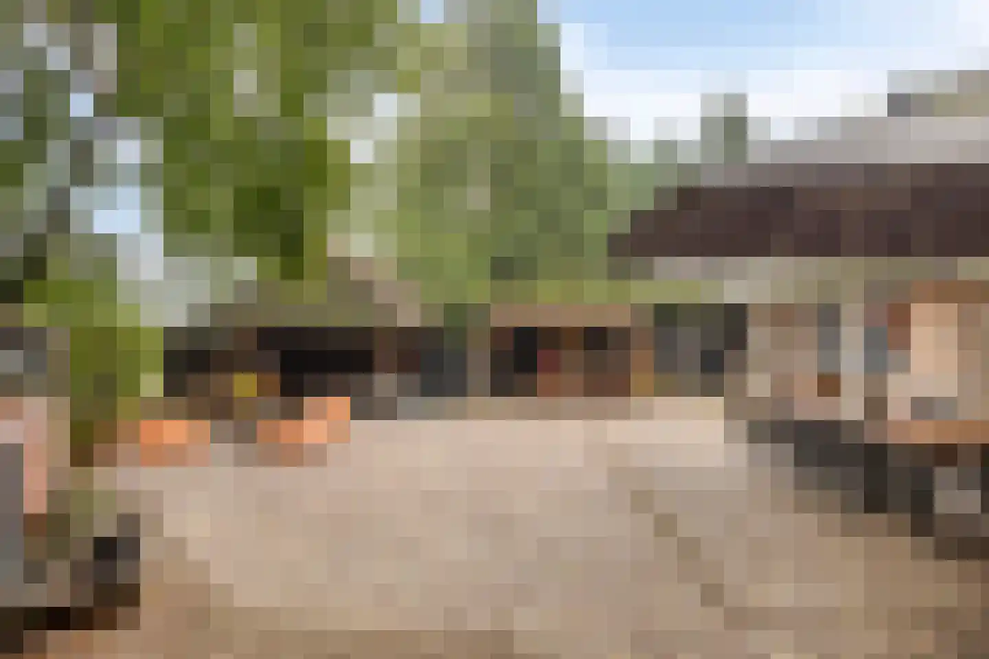 Vessemsedijk 8 Veldhoven thumbnail 47