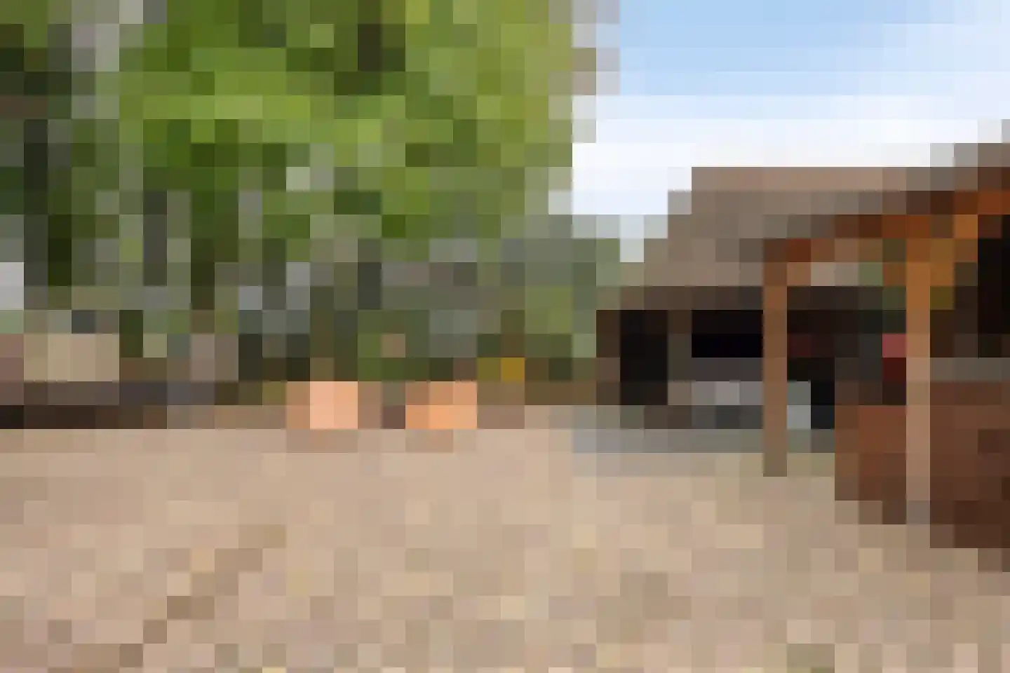 Vessemsedijk 8 Veldhoven thumbnail 50
