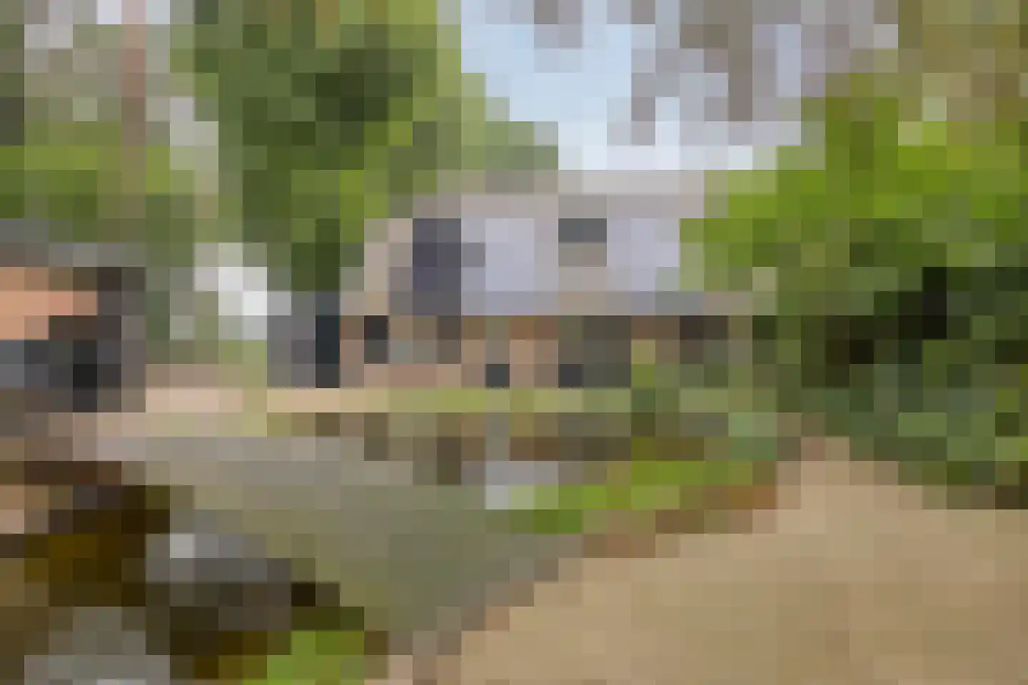 Vessemsedijk 8 Veldhoven thumbnail 55