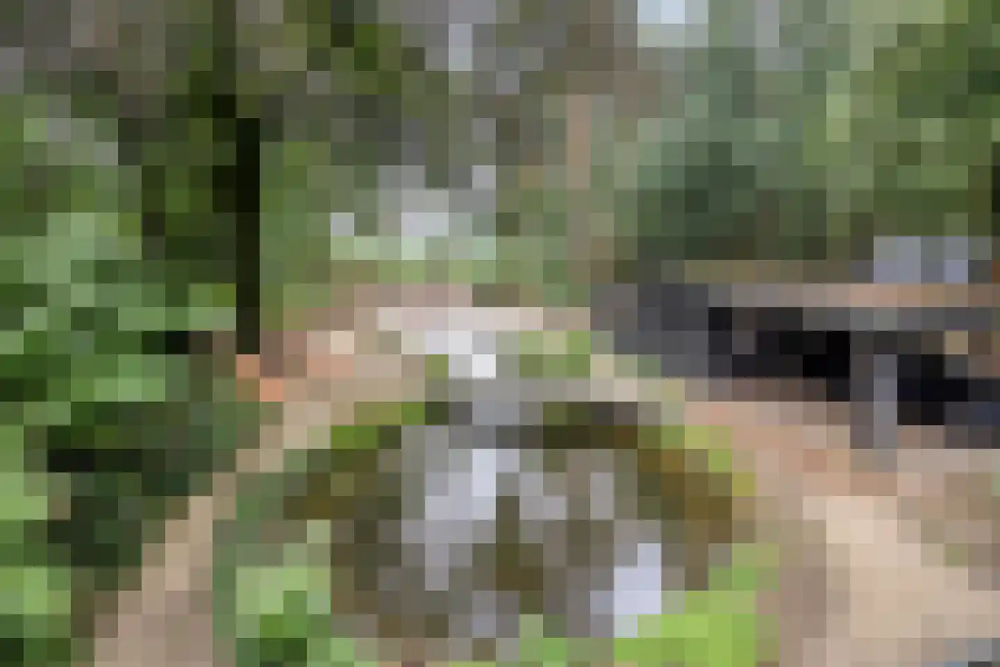 Vessemsedijk 8 Veldhoven thumbnail 56