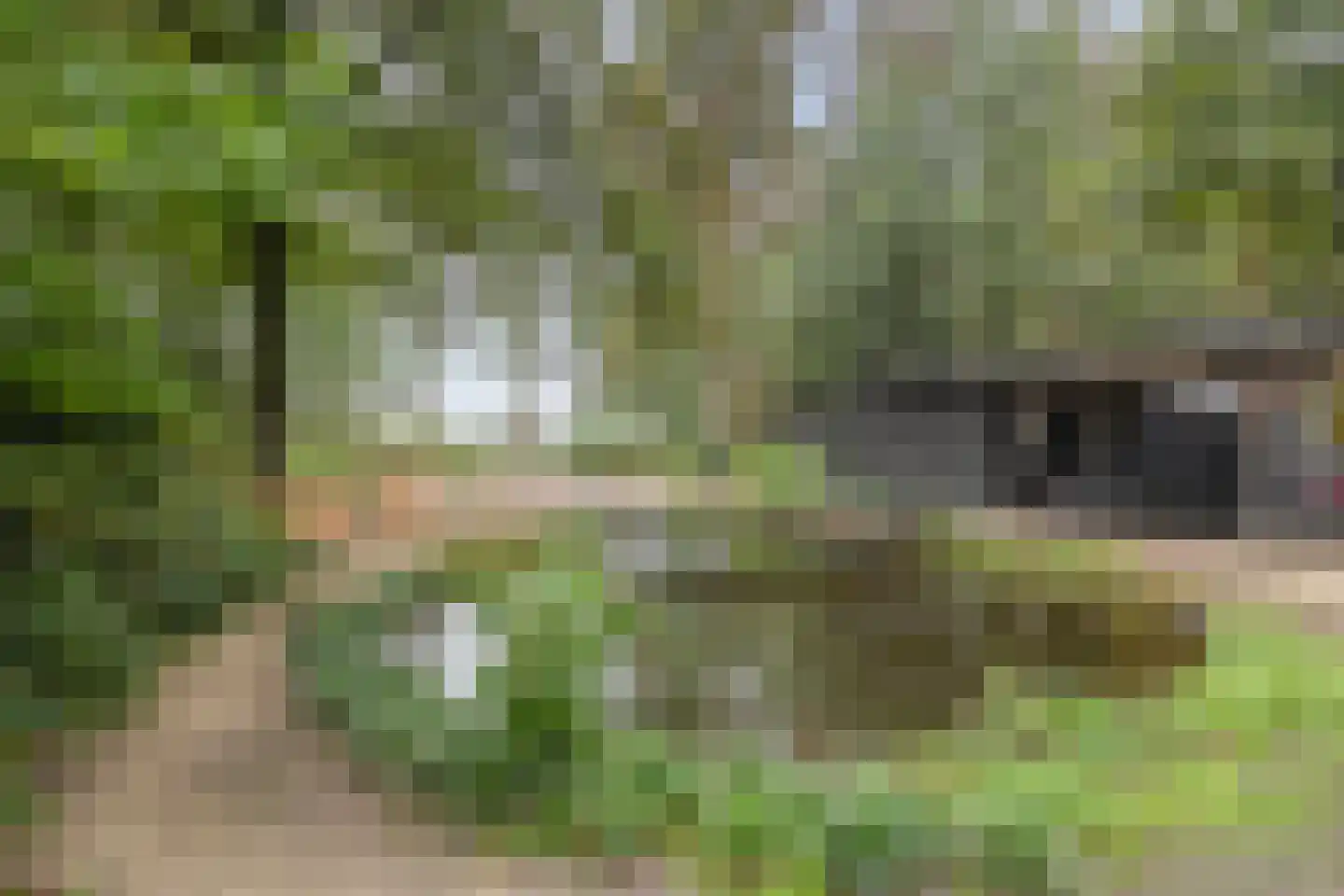 Vessemsedijk 8 Veldhoven thumbnail 57