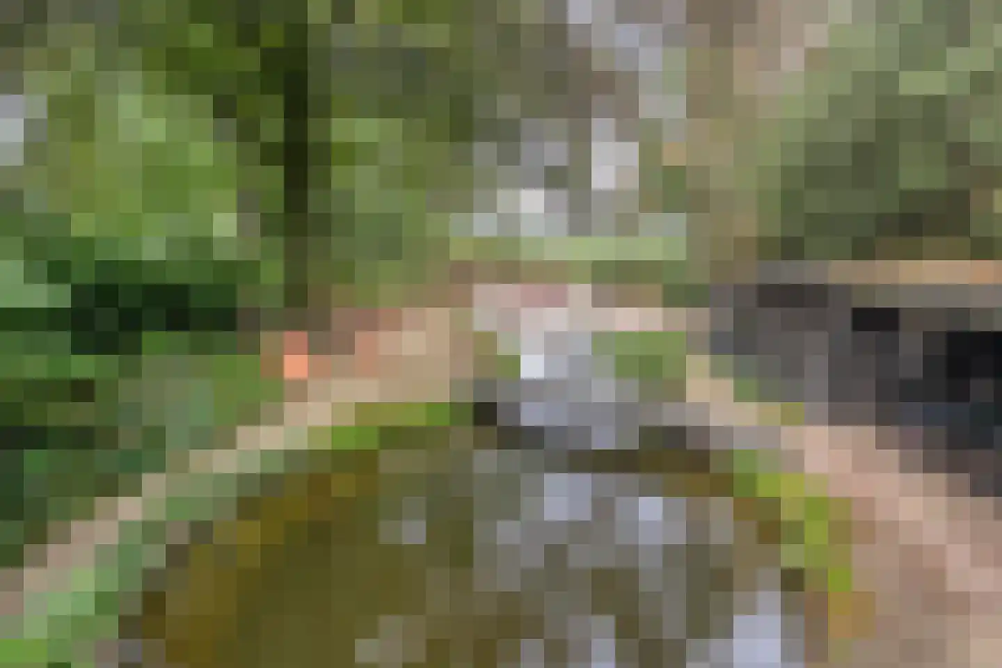 Vessemsedijk 8 Veldhoven thumbnail 58
