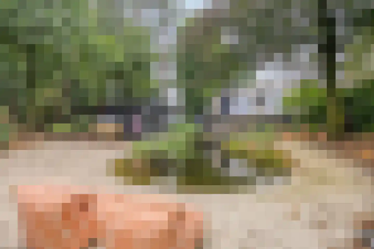 Vessemsedijk 8 Veldhoven thumbnail 59