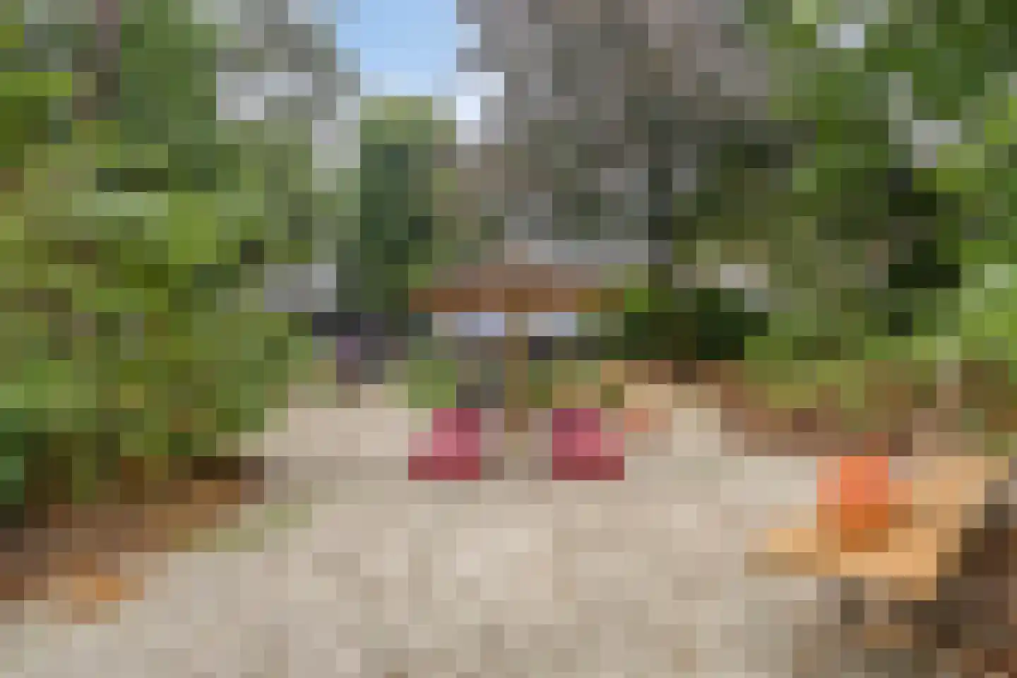 Vessemsedijk 8 Veldhoven thumbnail 61