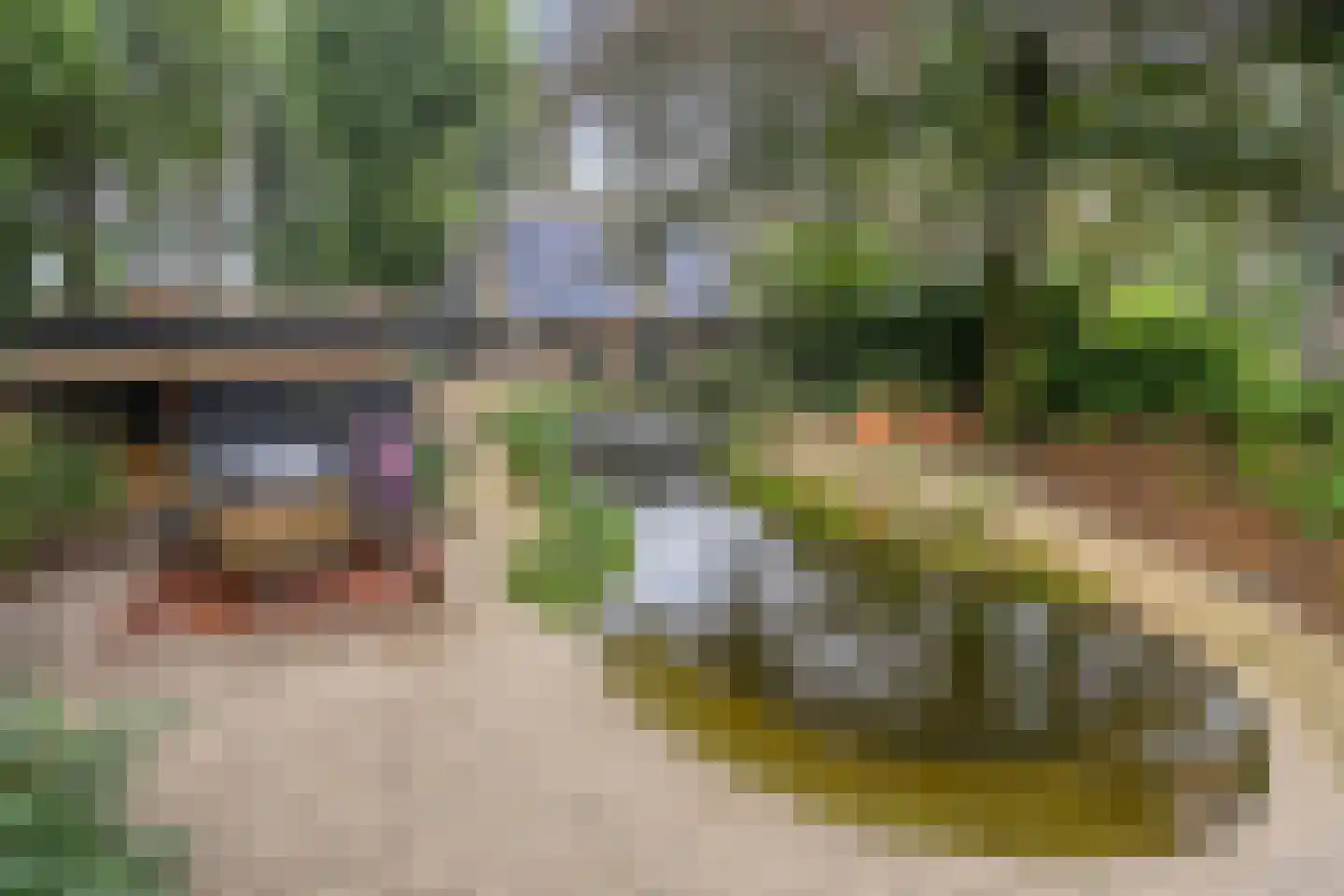 Vessemsedijk 8 Veldhoven thumbnail 62