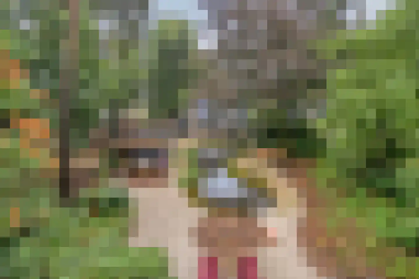 Vessemsedijk 8 Veldhoven thumbnail 63