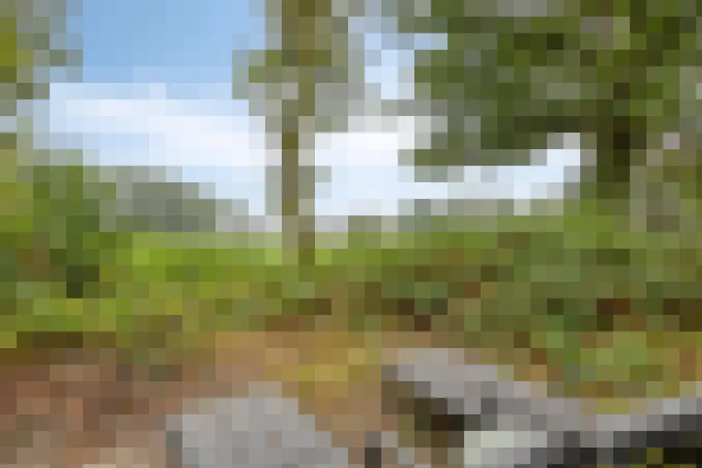 Vessemsedijk 8 Veldhoven thumbnail 64