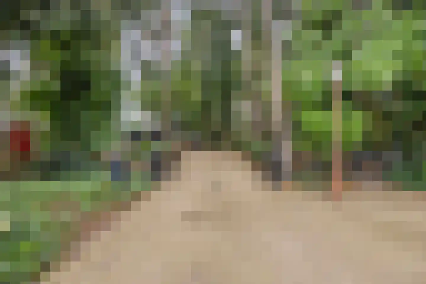 Vessemsedijk 8 Veldhoven thumbnail 65