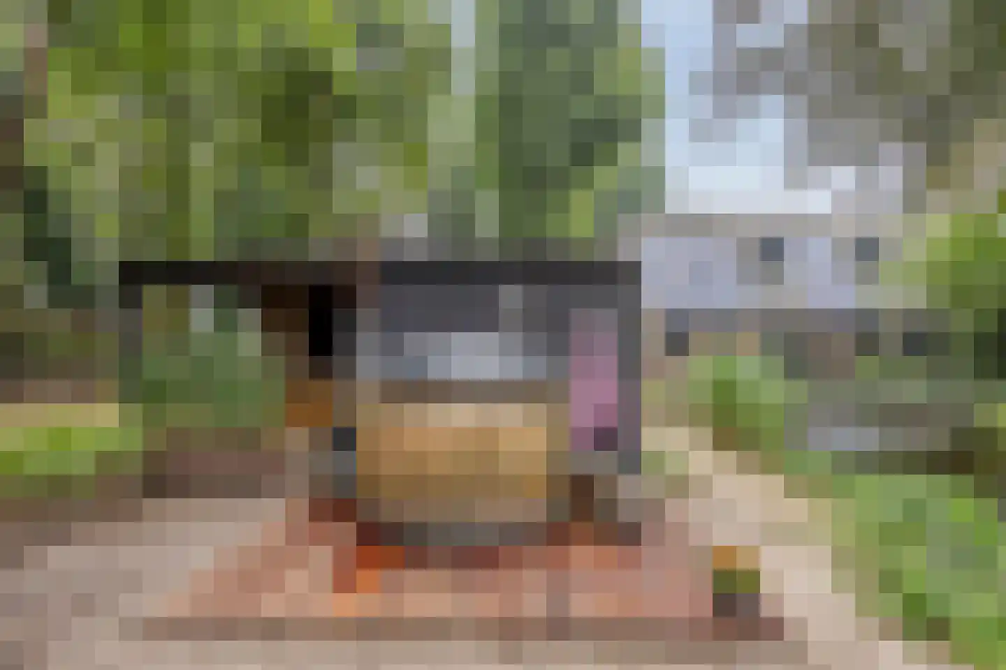 Vessemsedijk 8 Veldhoven thumbnail 66