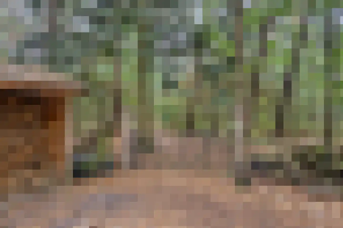 Vessemsedijk 8 Veldhoven thumbnail 68