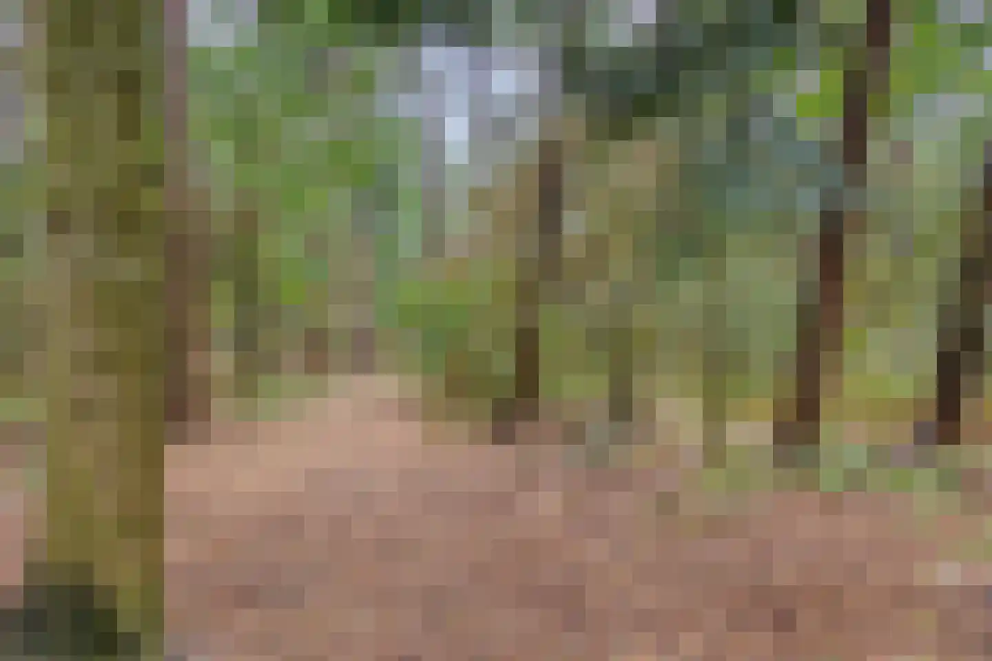 Vessemsedijk 8 Veldhoven thumbnail 69