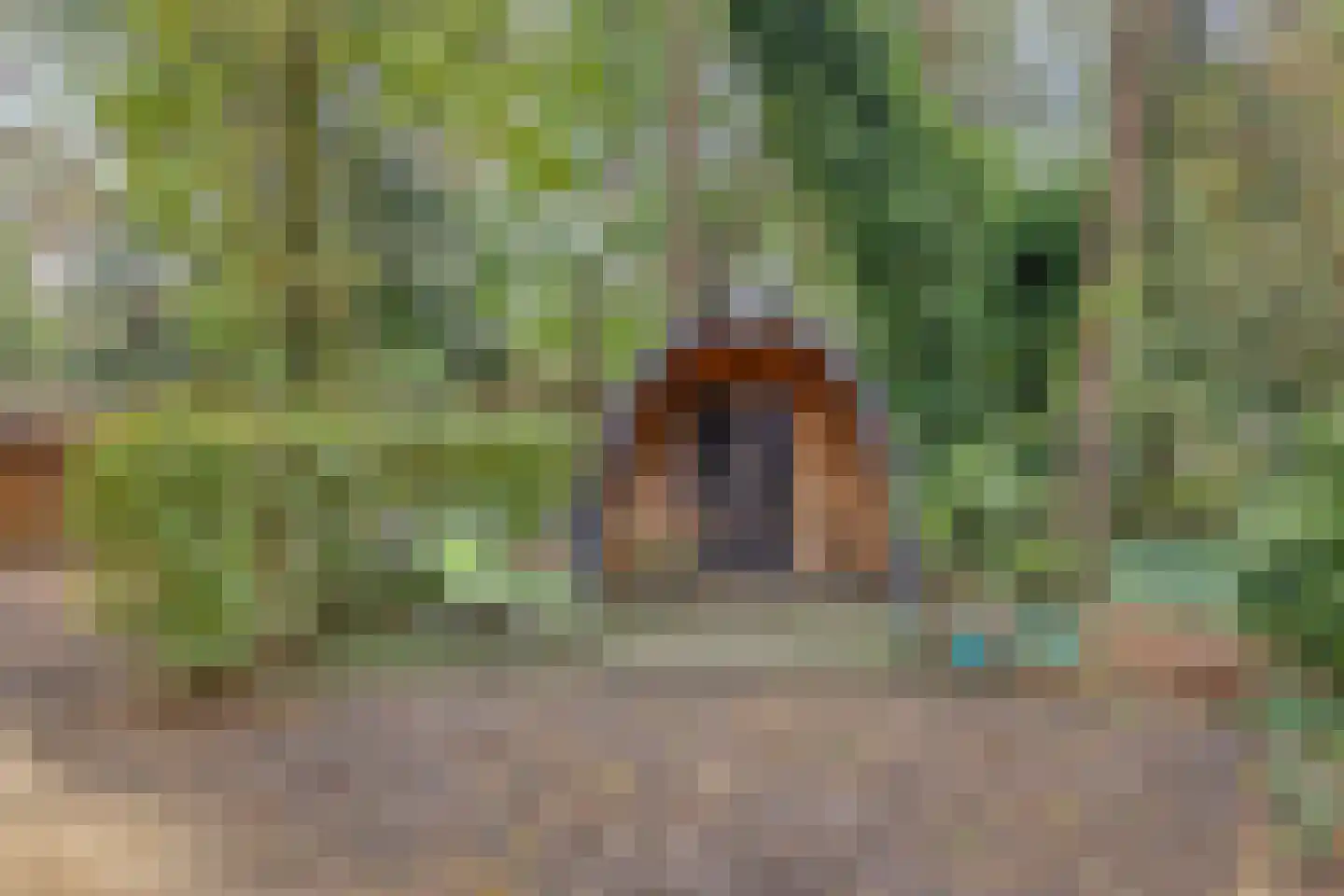 Vessemsedijk 8 Veldhoven thumbnail 71