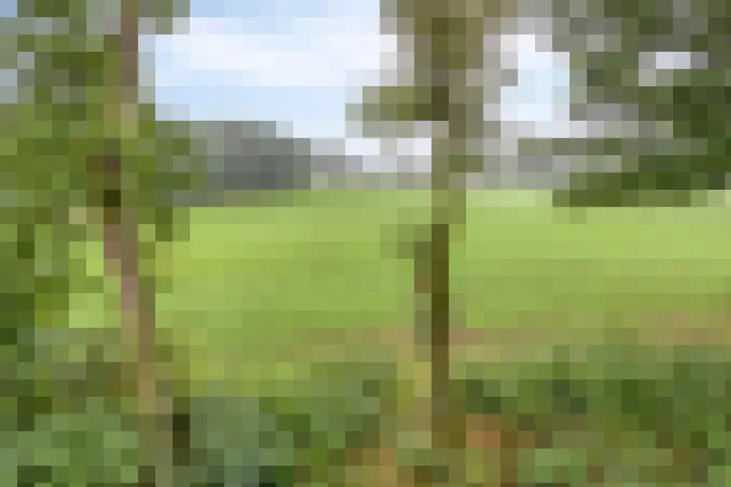 Vessemsedijk 8 Veldhoven thumbnail 75