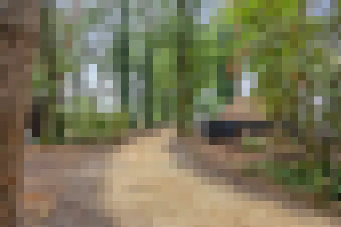 Vessemsedijk 8 Veldhoven thumbnail 77