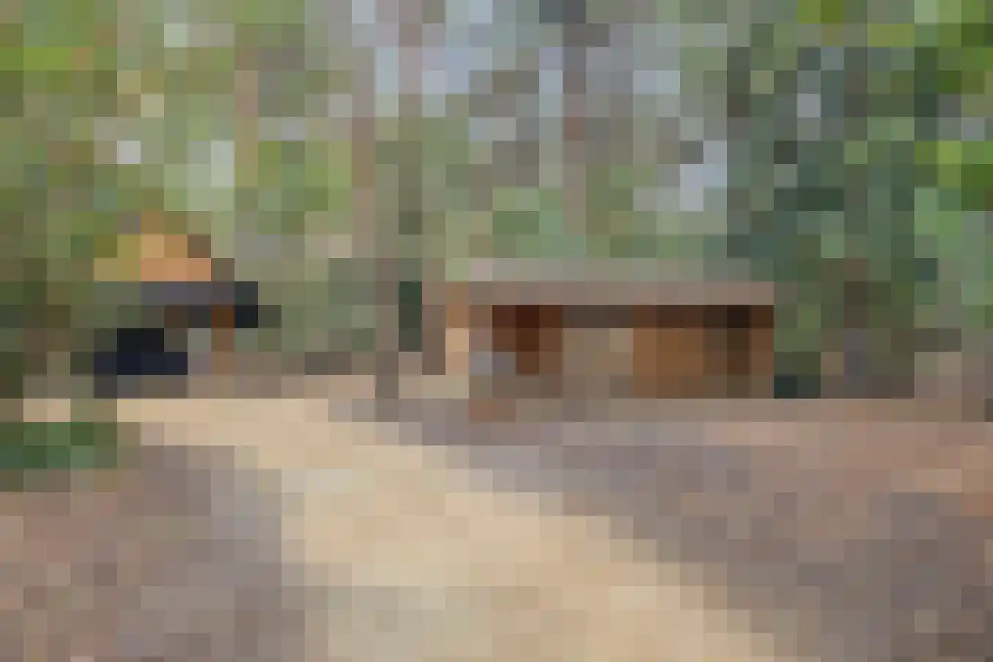 Vessemsedijk 8 Veldhoven thumbnail 78