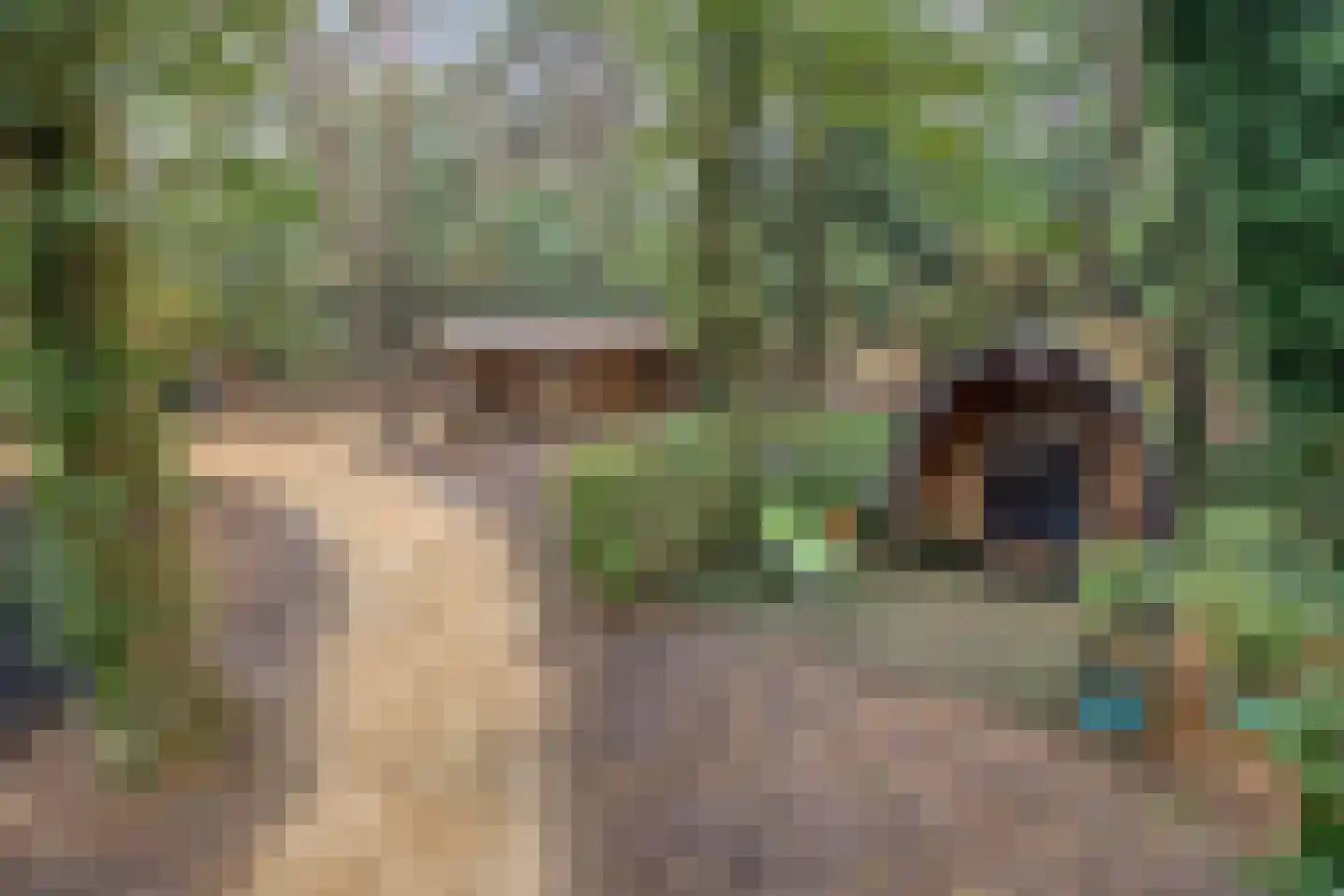 Vessemsedijk 8 Veldhoven thumbnail 81
