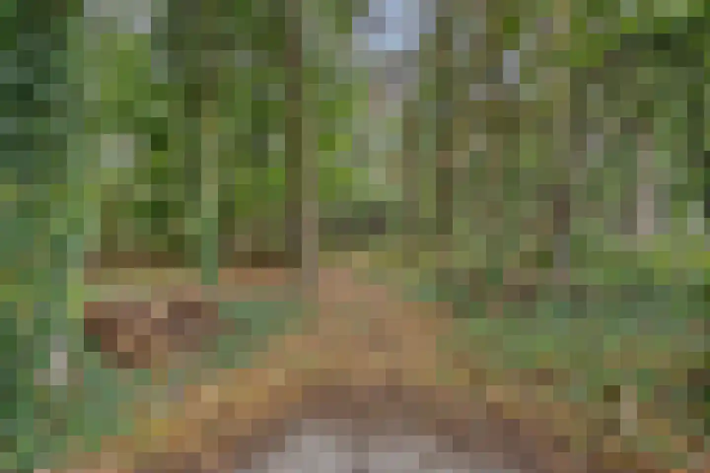 Vessemsedijk 8 Veldhoven thumbnail 87