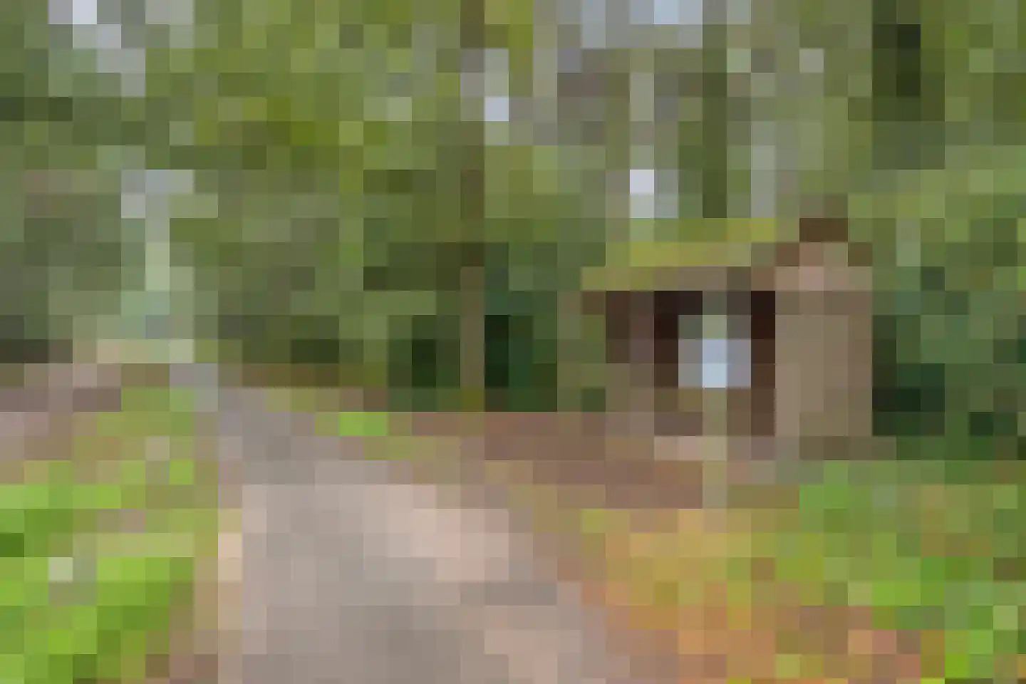 Vessemsedijk 8 Veldhoven thumbnail 88
