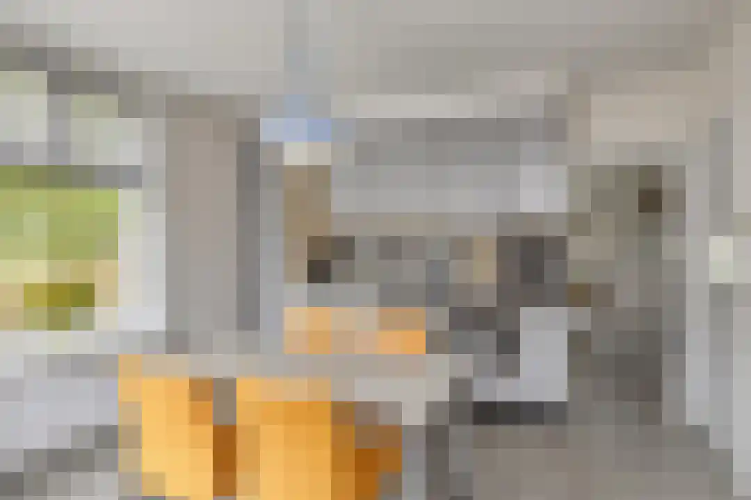 Vessemseweg 16 Knegsel thumbnail 4