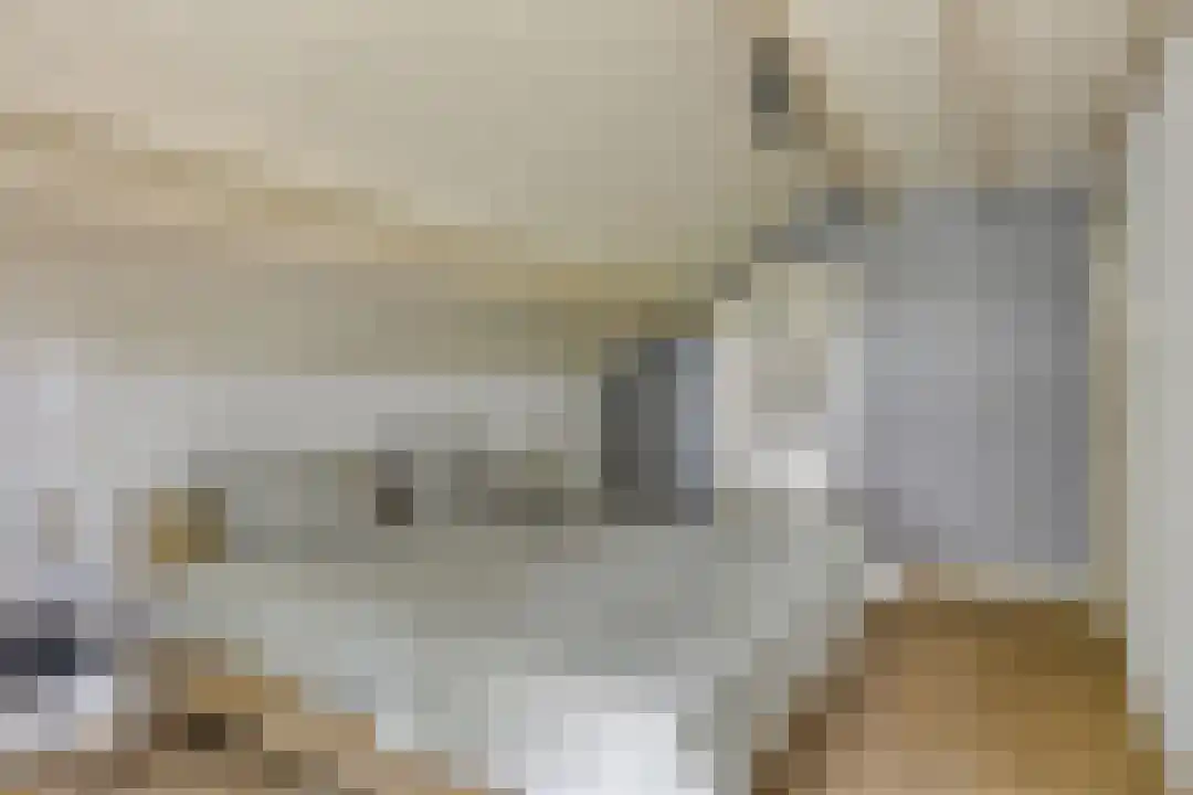 Vessemseweg 16 Knegsel thumbnail 6