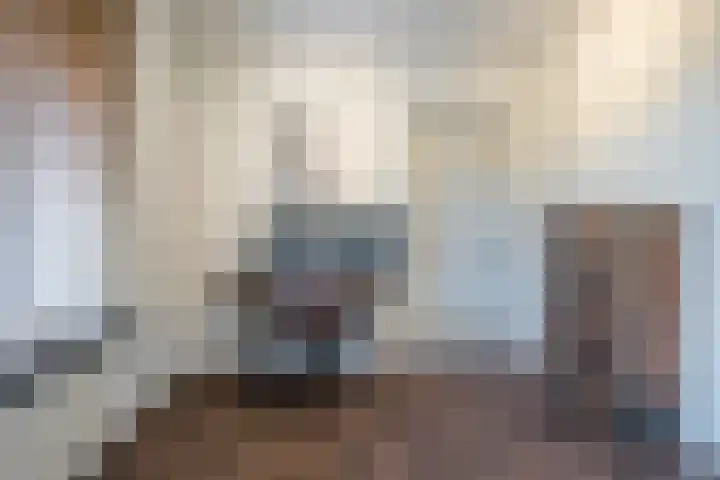 Vessemseweg 2 Hoogeloon thumbnail 15