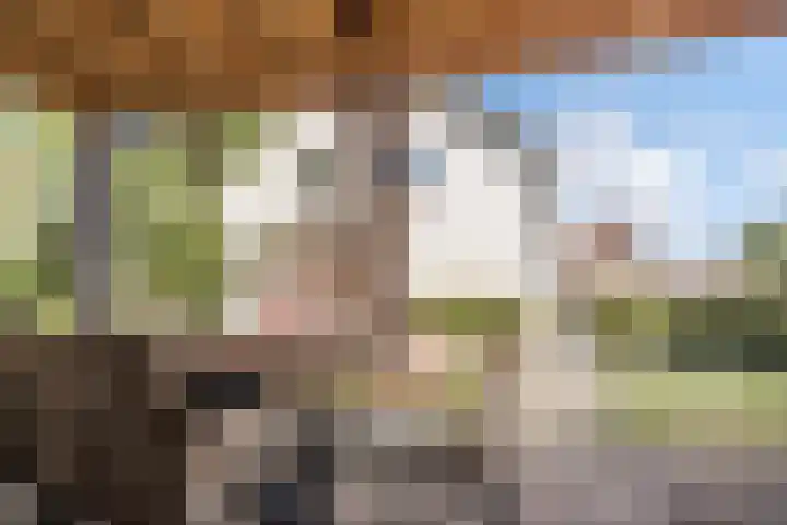 Vessemseweg 2 Hoogeloon thumbnail 40