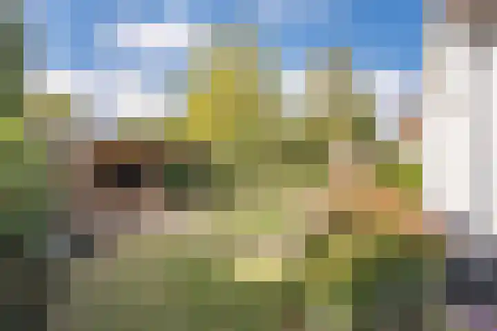 Vessemseweg 2 Hoogeloon thumbnail 44