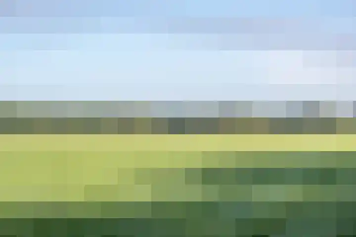Vessemseweg 2 Hoogeloon thumbnail 50