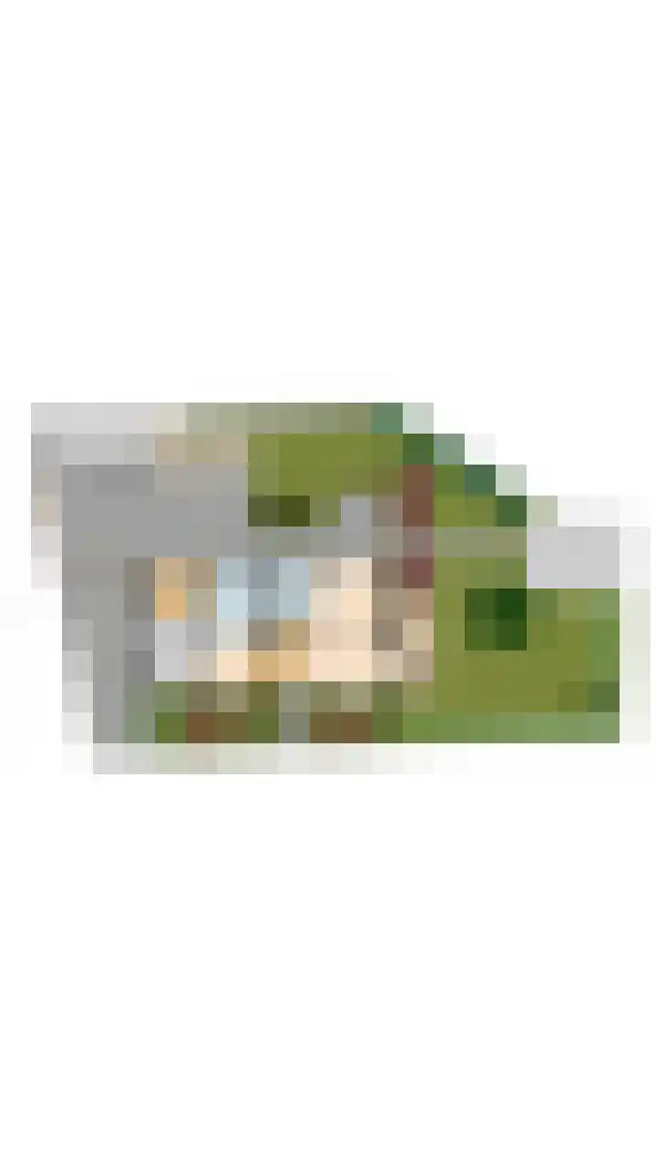 Vessemseweg 2 Hoogeloon thumbnail 56