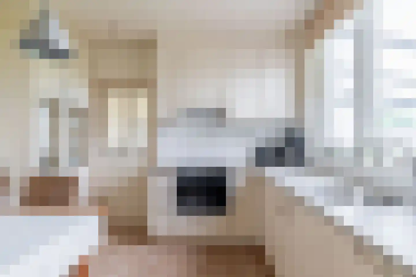 Vessemseweg 29 Hoogeloon thumbnail 18