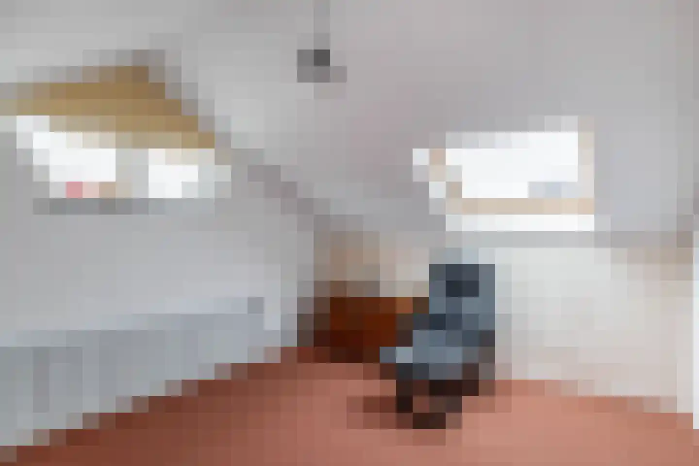 Vessemseweg 29 Hoogeloon thumbnail 26