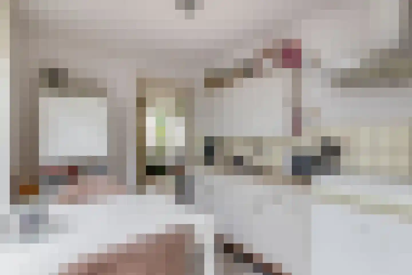 Vessemseweg 29 Hoogeloon thumbnail 32