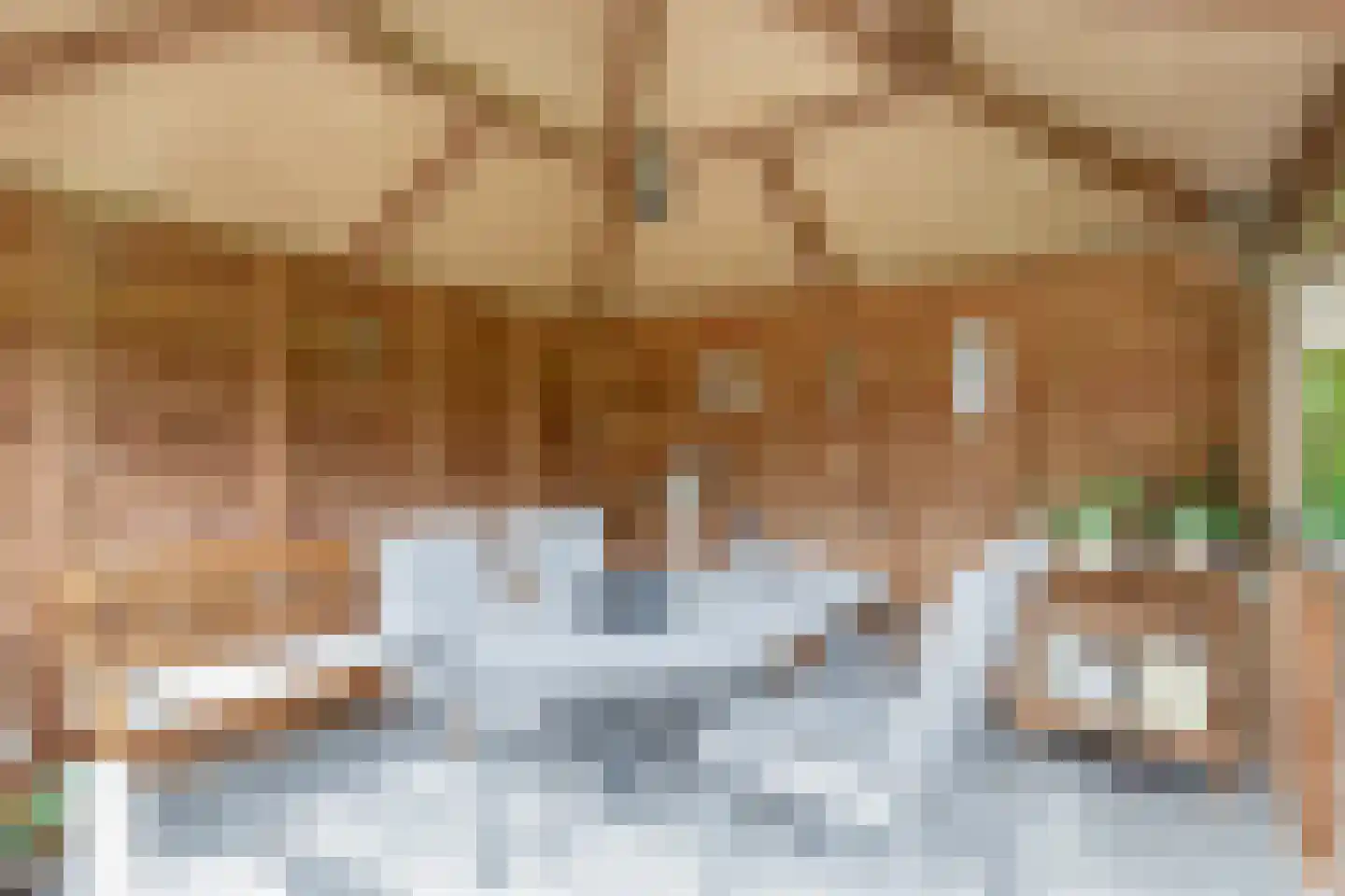 Vessemseweg 29 Hoogeloon thumbnail 42