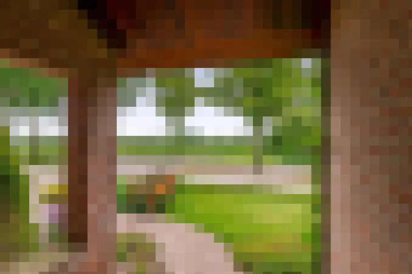 Vessemseweg 29 Hoogeloon thumbnail 48