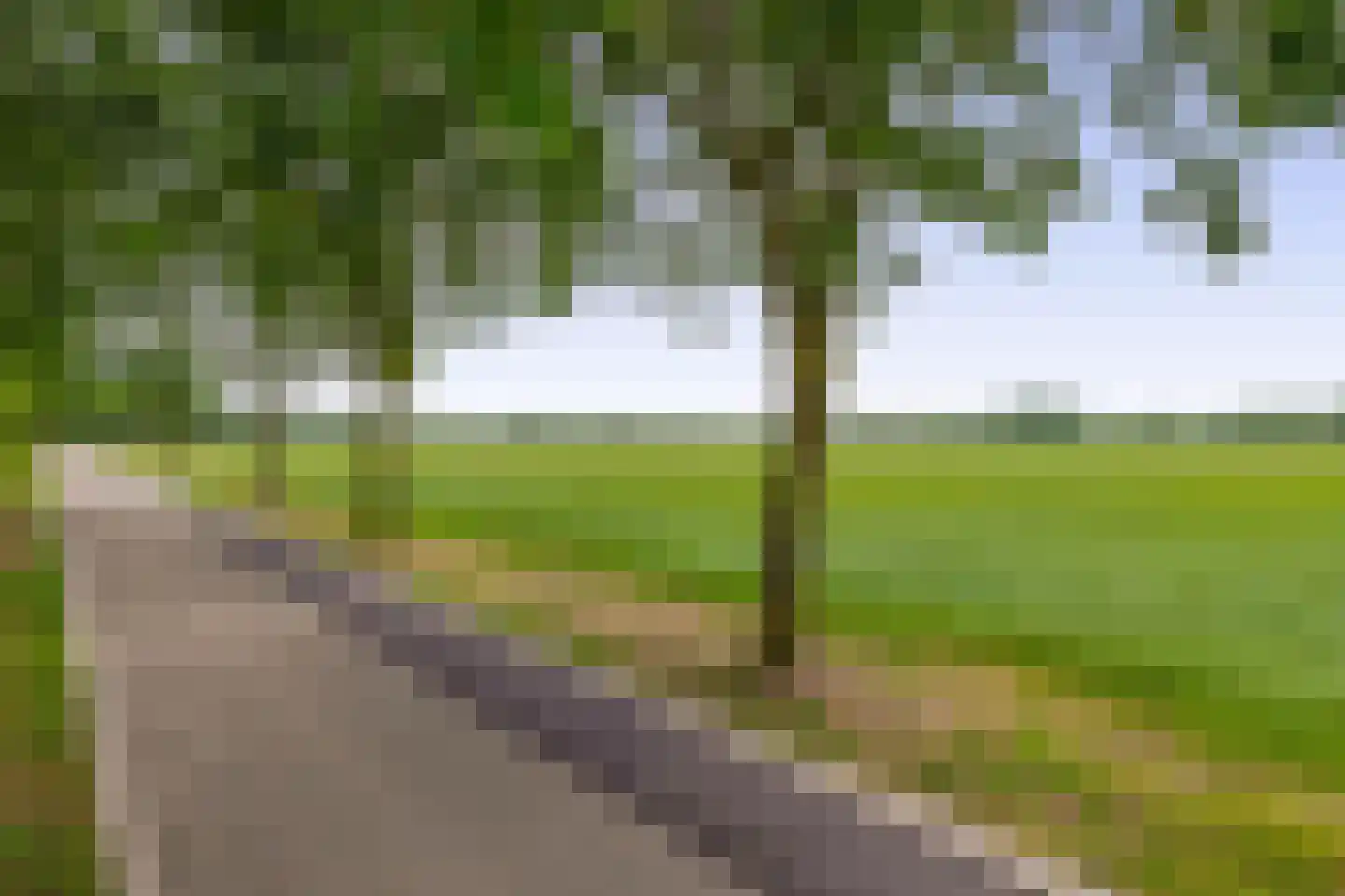 Vessemseweg 29 Hoogeloon thumbnail 53