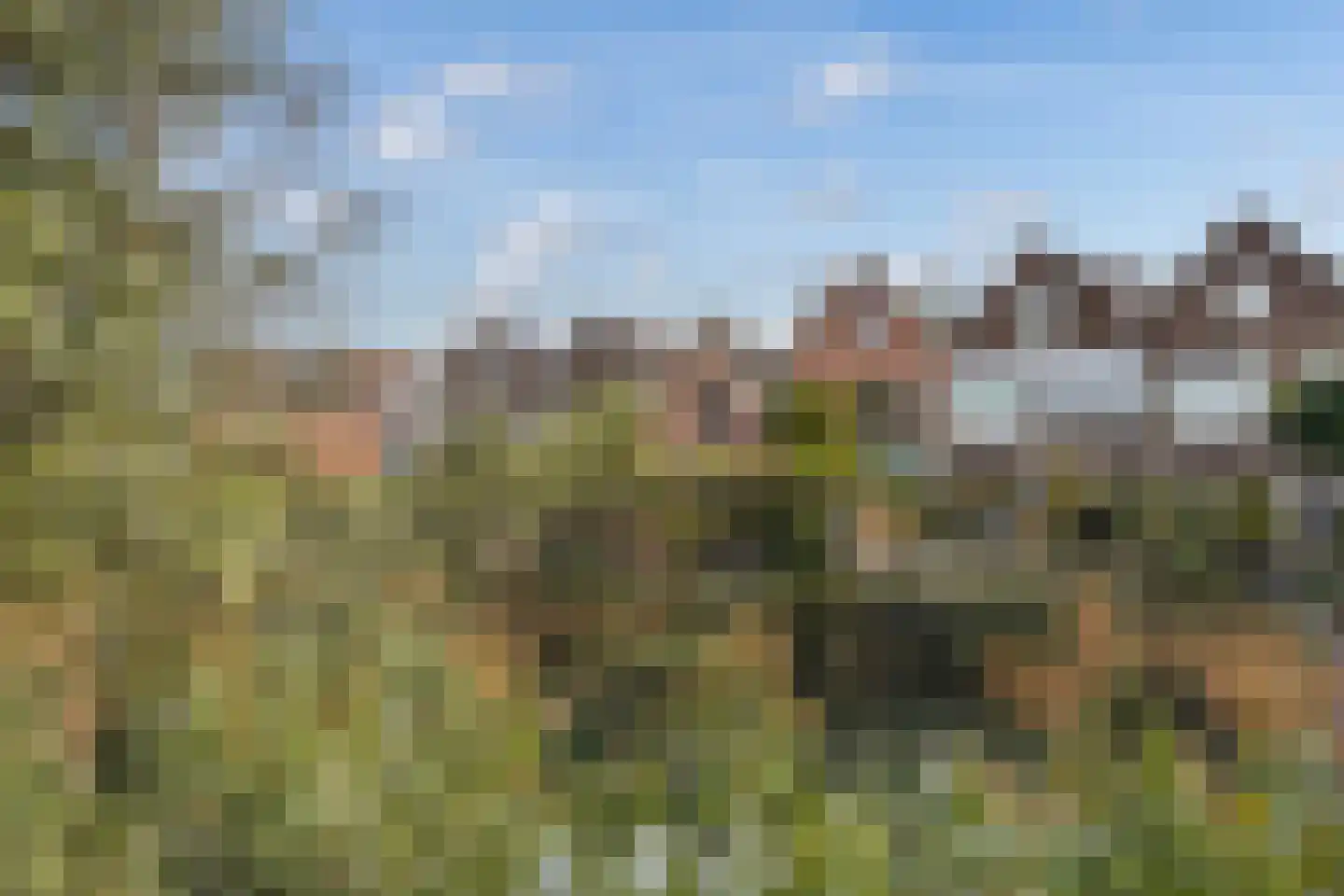Vest 128 Dordrecht thumbnail 5
